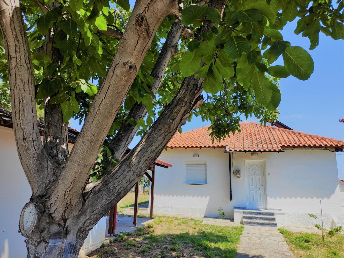 Villa White Clam Vintage House With Sea View & Garden Makrygialos Exterior foto