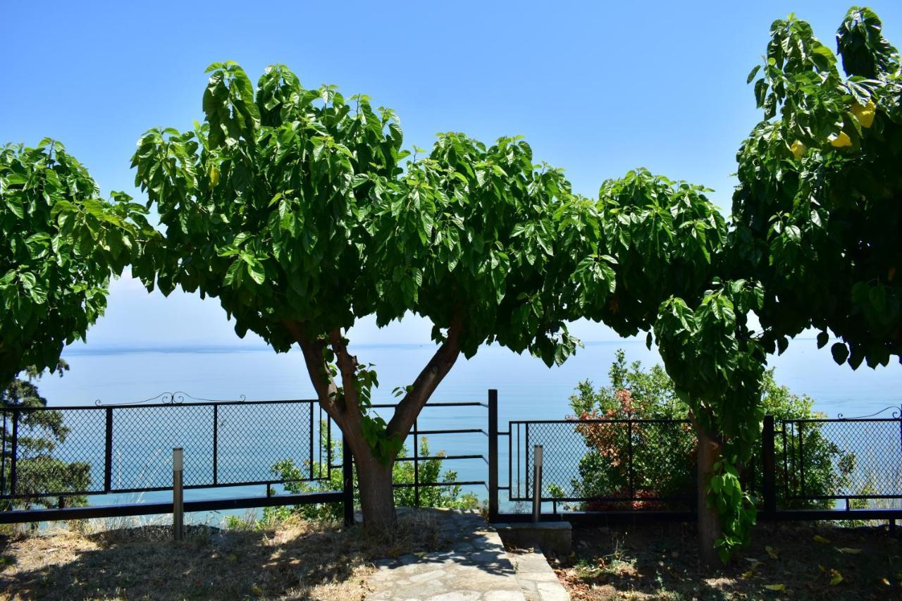 Villa White Clam Vintage House With Sea View & Garden Makrygialos Exterior foto